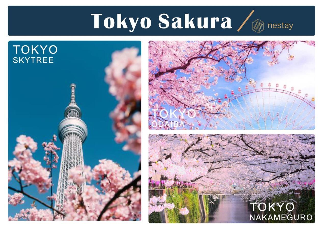 Nestay Otsuka 203 Tokyo