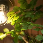 The Wardrobe Hostel Tree