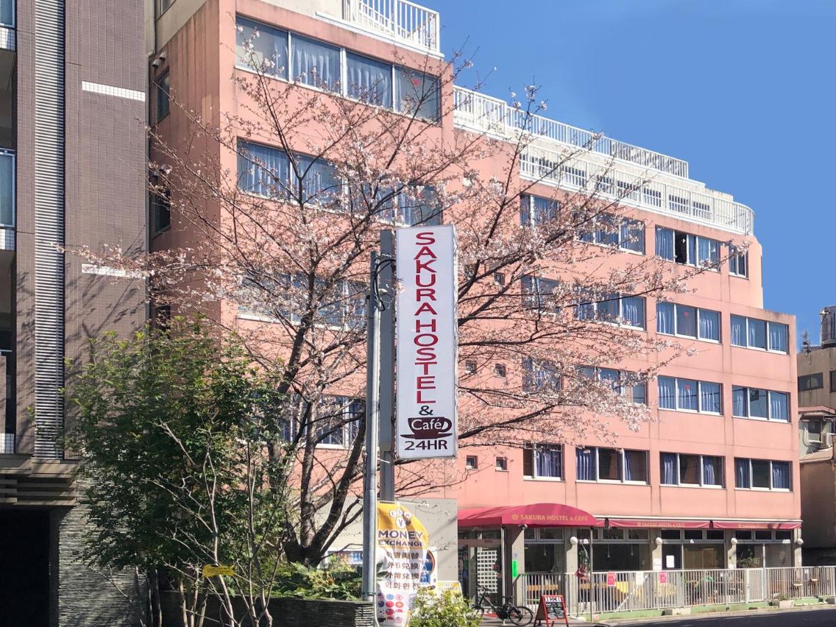 Sakura Asakusa Tokyo