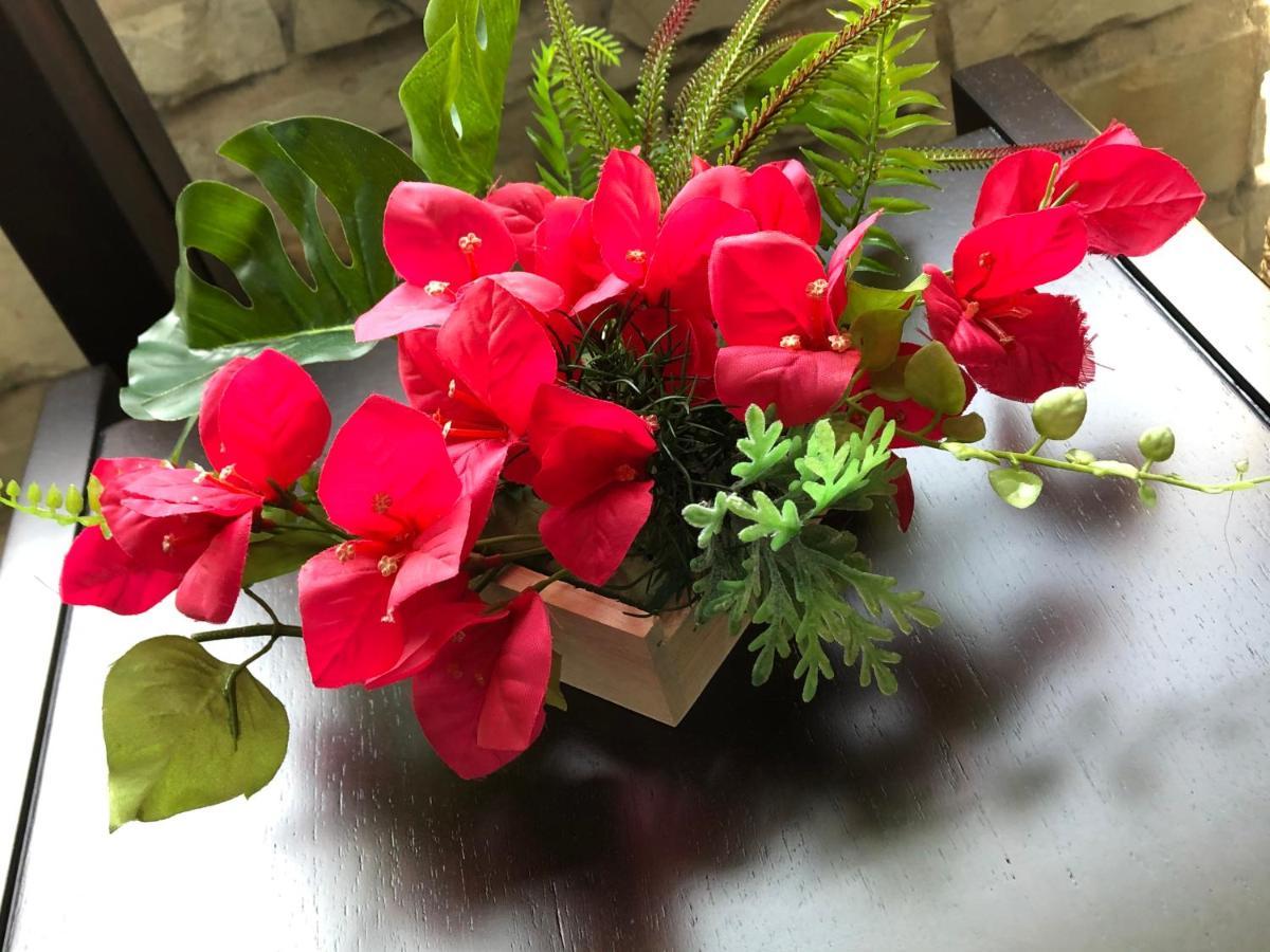 Bougainvillea Akebonobashi Tokyo