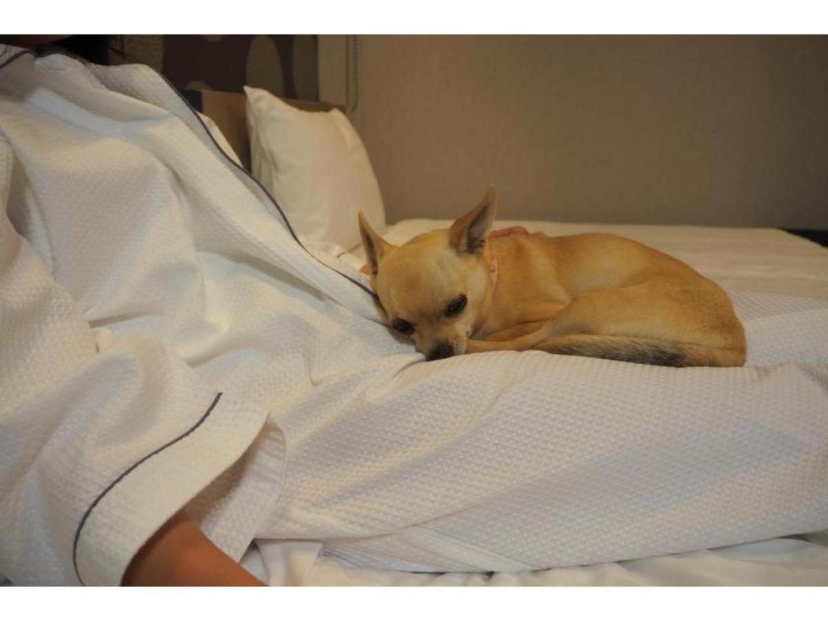 Hotel Ici Asakusabashi - Vacation 71078v Tokyo