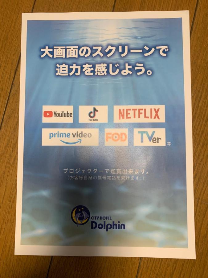 Dolphin 2*