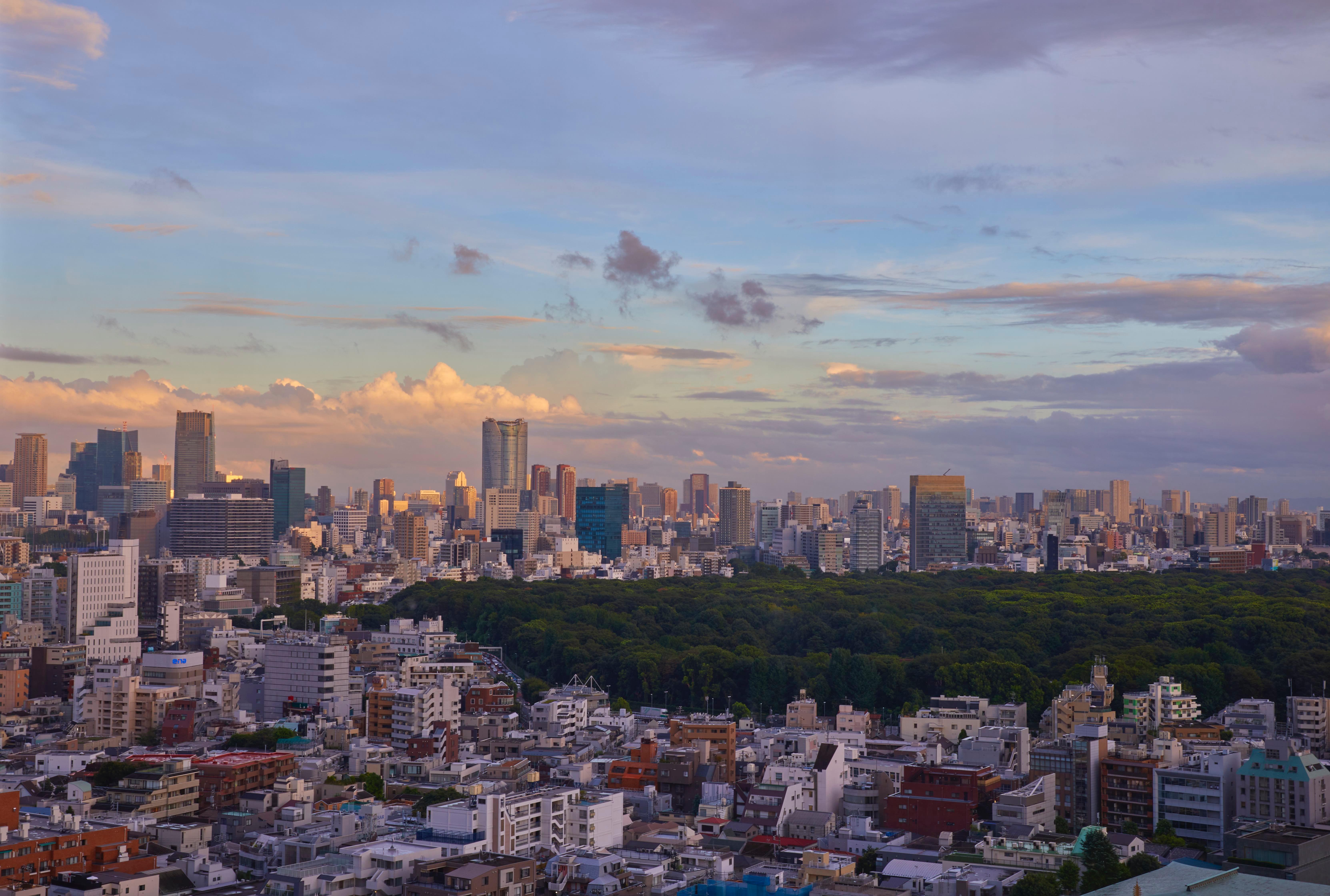 Kimpton Shinjuku By Ihg 5*