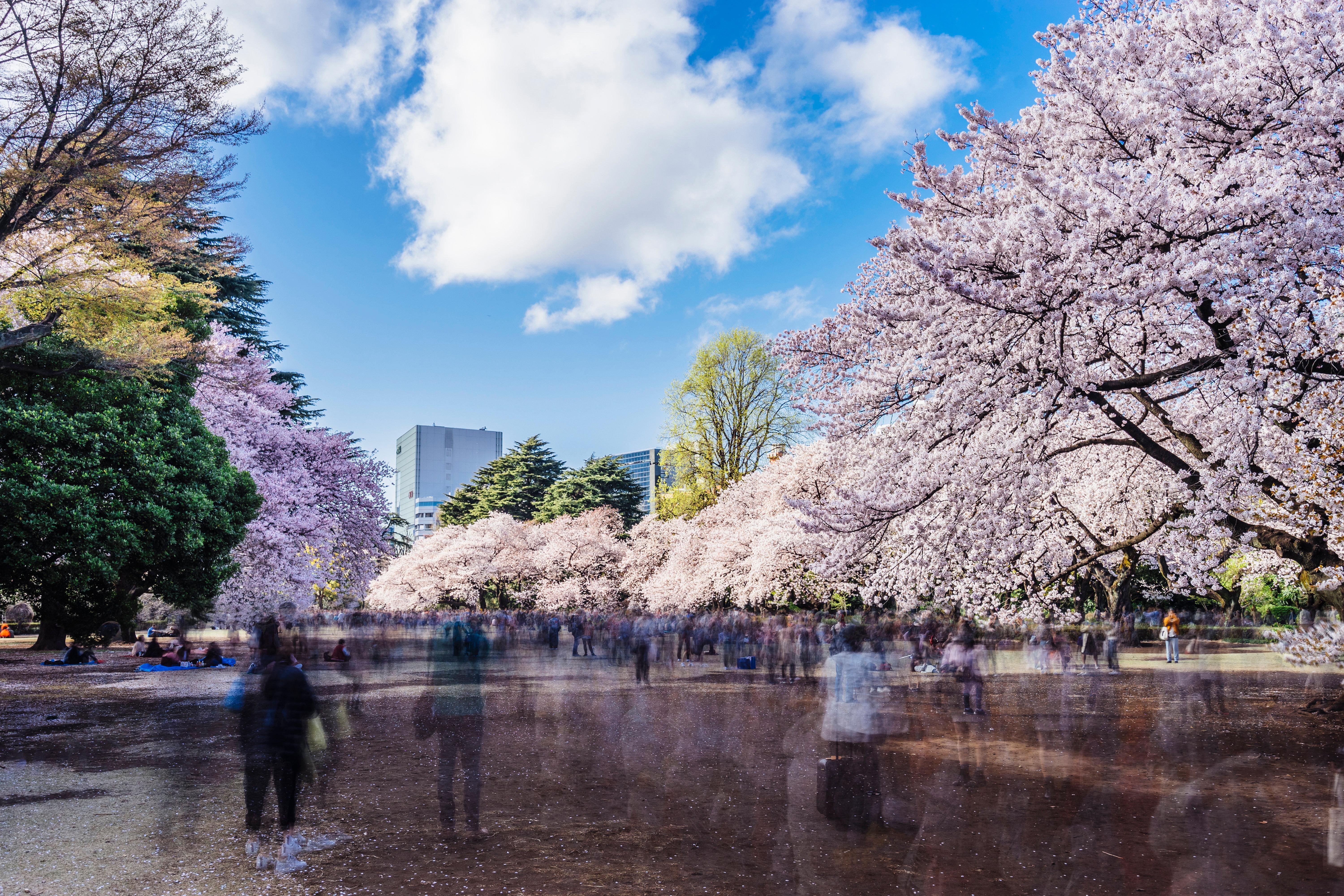 Hotel Kimpton Shinjuku By Ihg 5*