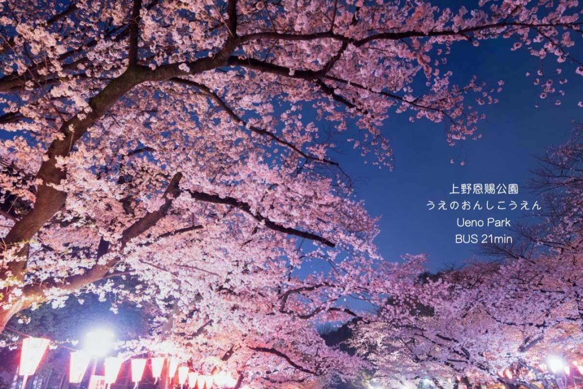 N Higashi Asakusa Hotel 5*