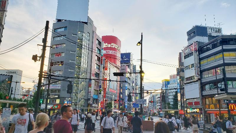 Sakura Ikebukuro *