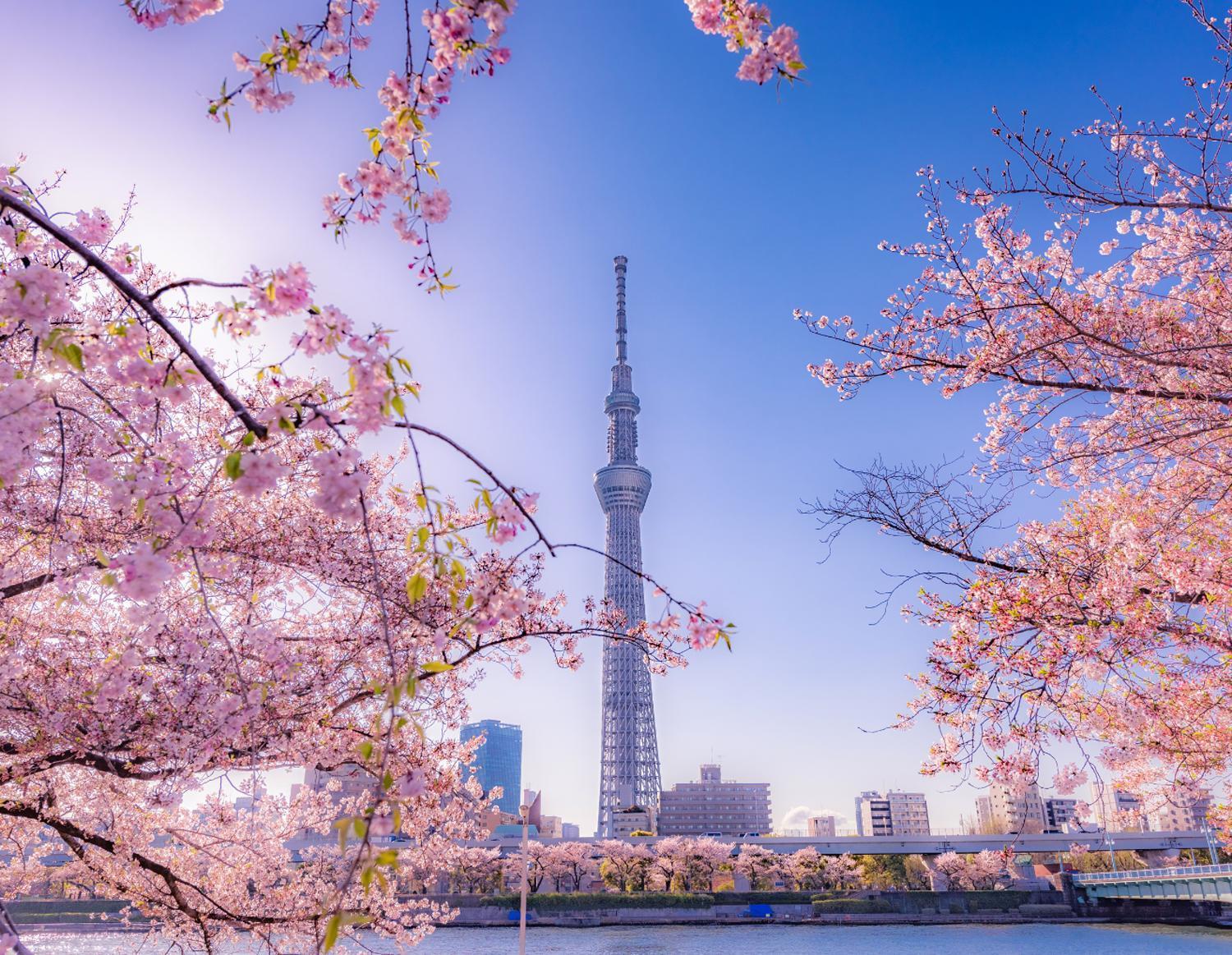 Apartment Grand Tree Skytree View Rooftop Asakusa Walk Tokyo