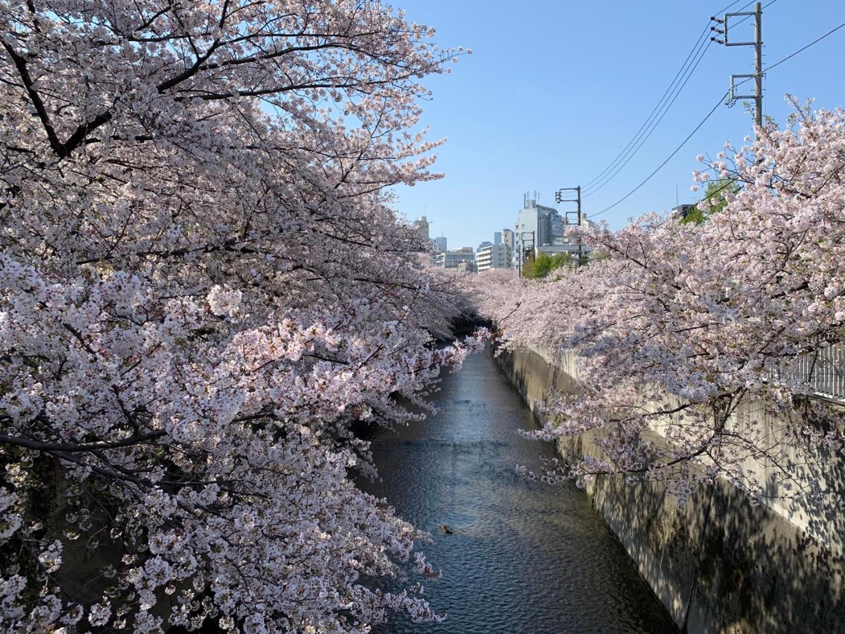 Rosenheim Shinjuku Okubo