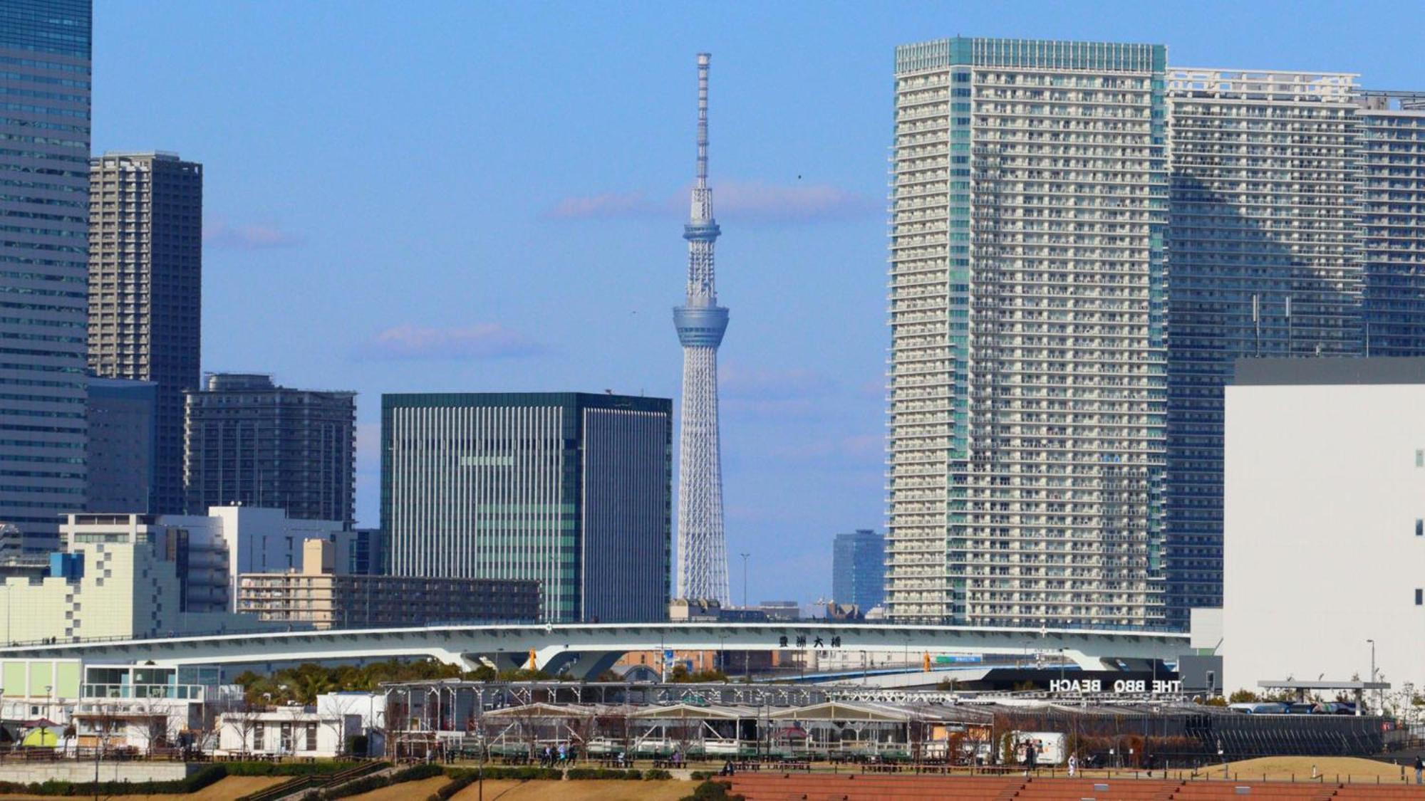 Hotel Toyoko Nihombashi Zeimusho Mae Tokyo
