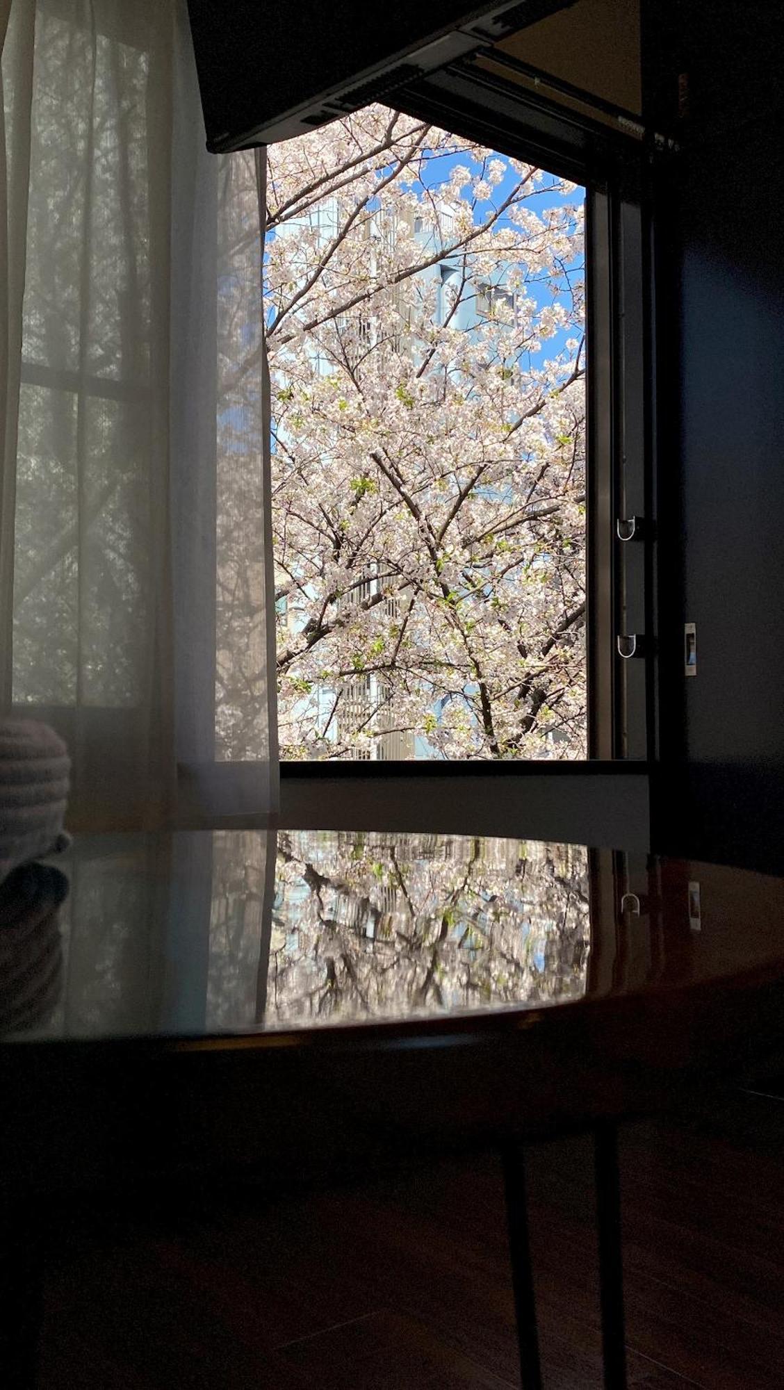 Apartment Penthouse 1-bedroom Flat In Hiroo Shibuya