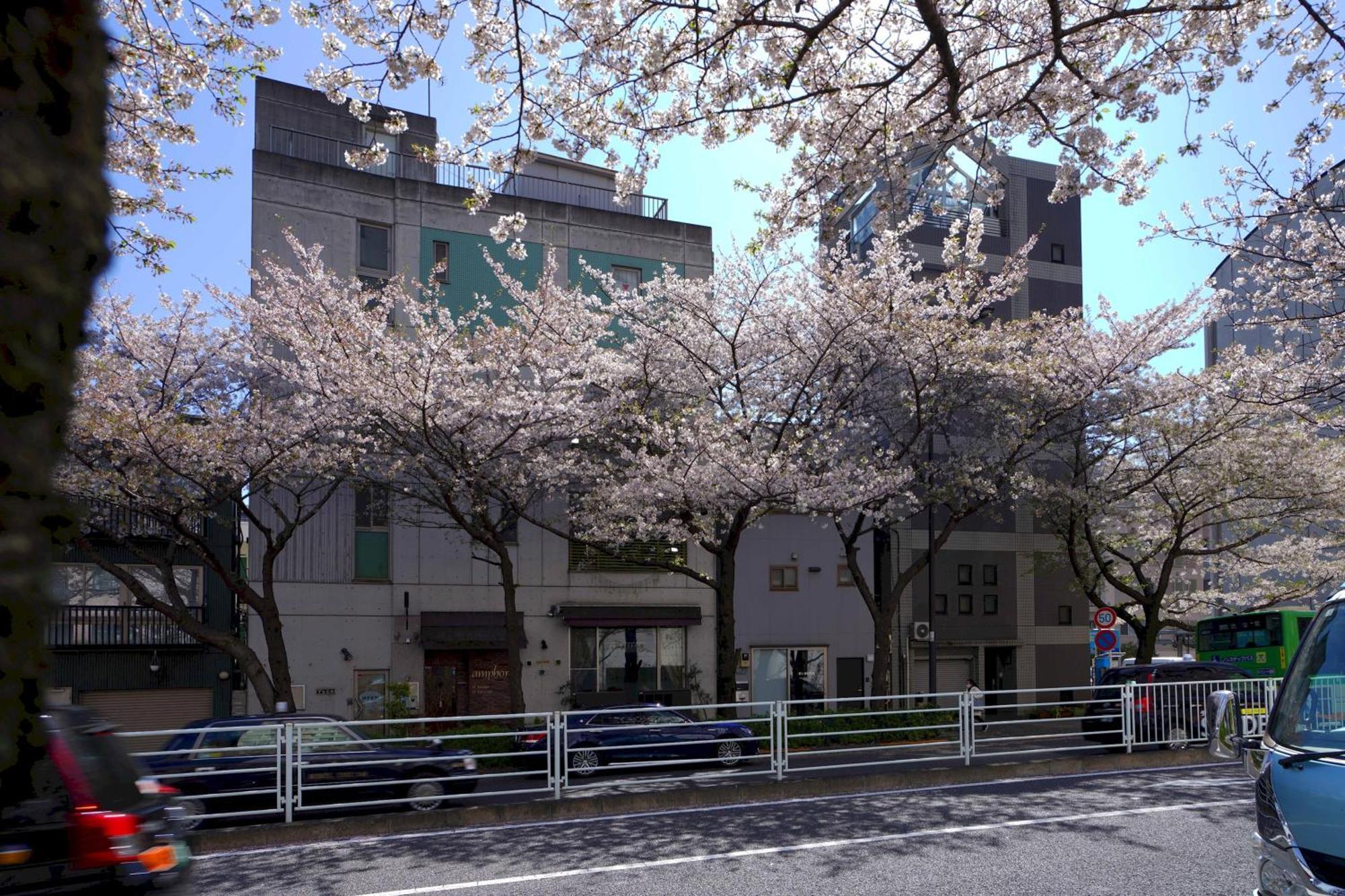 Apartment Penthouse 1-bedroom Flat In Hiroo Shibuya *