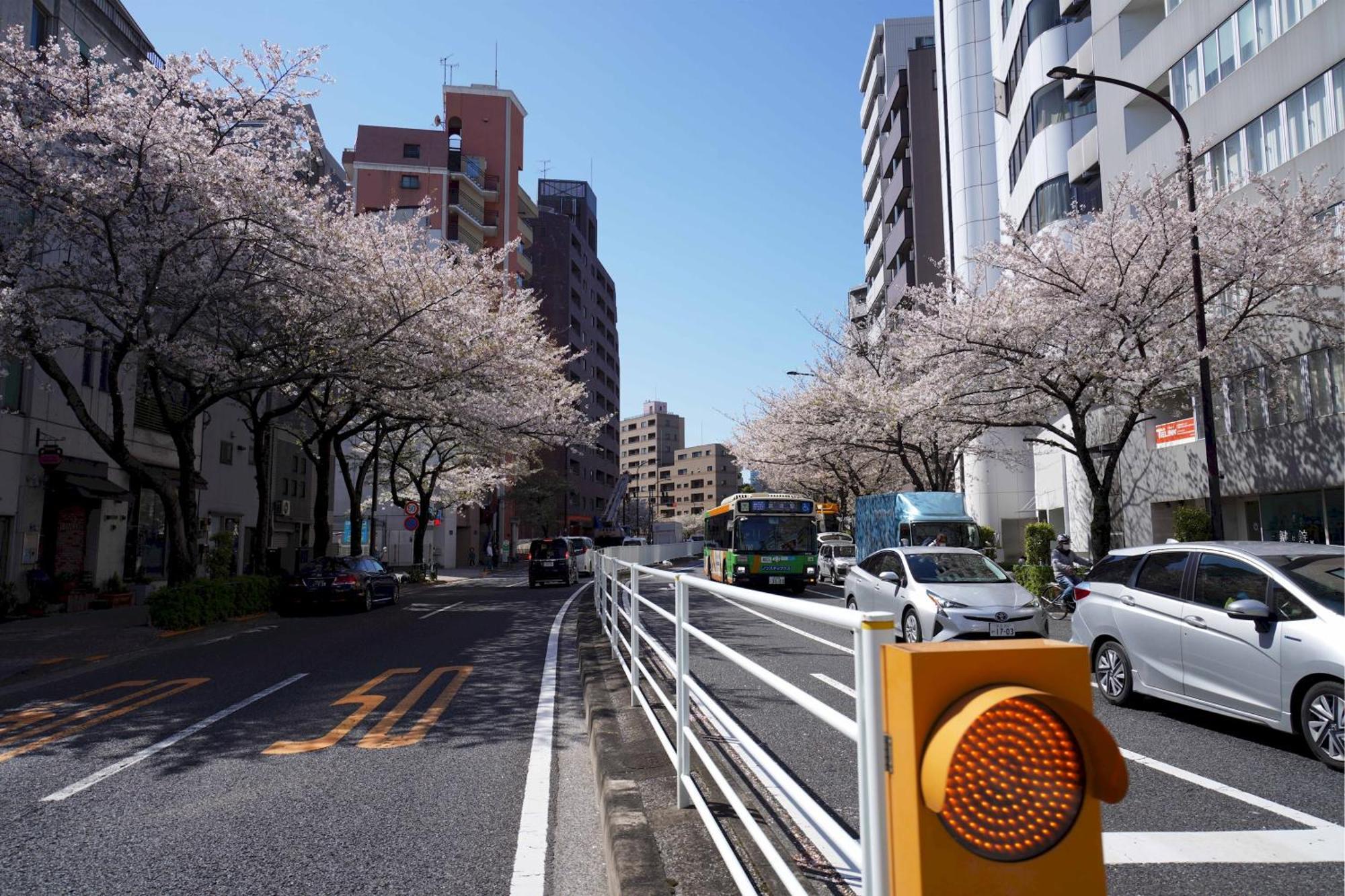 Penthouse 1-bedroom Flat In Hiroo Shibuya Apartment *