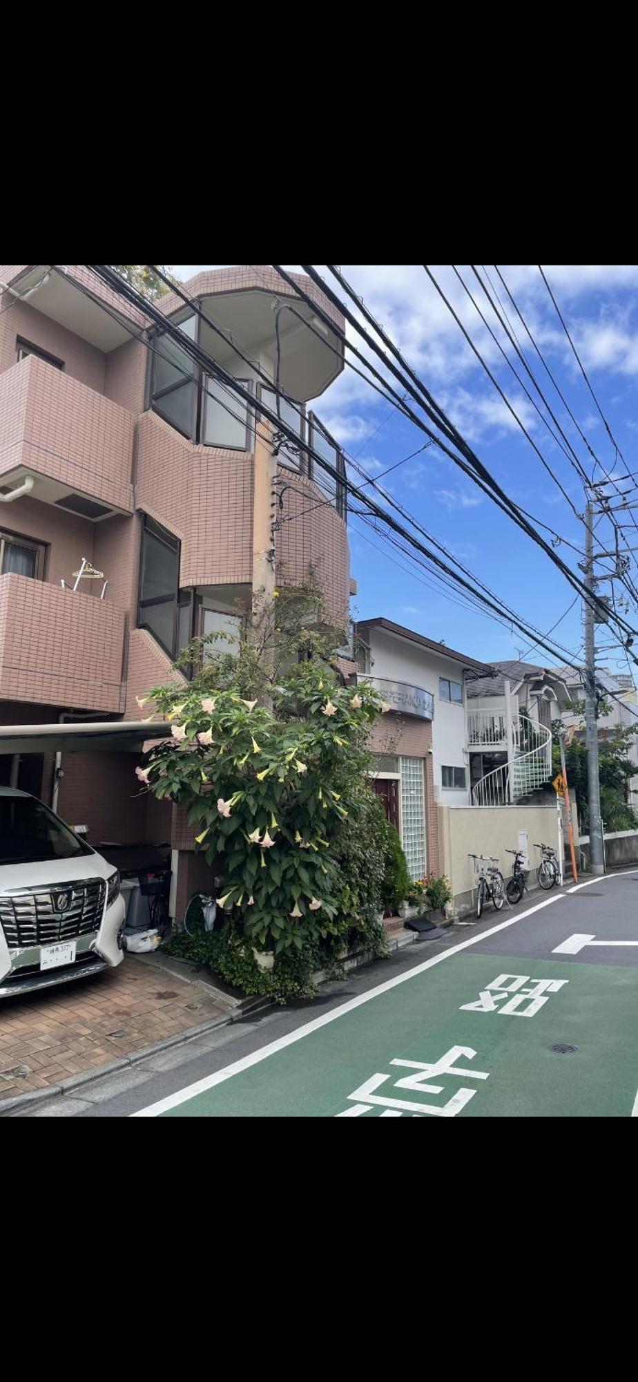新宿安靜の家-a Quiet In Shinjuku - A 26 Square Meter Double Bed That Feels Like