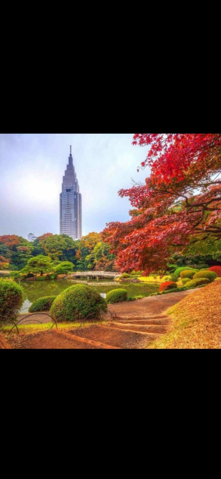 新宿安靜の家-a Quiet In Shinjuku - A 26 Square Meter Double Bed That Feels Like