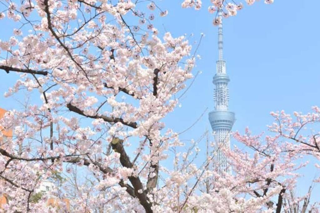 Rakuna 和 Honjo-azumabashi *