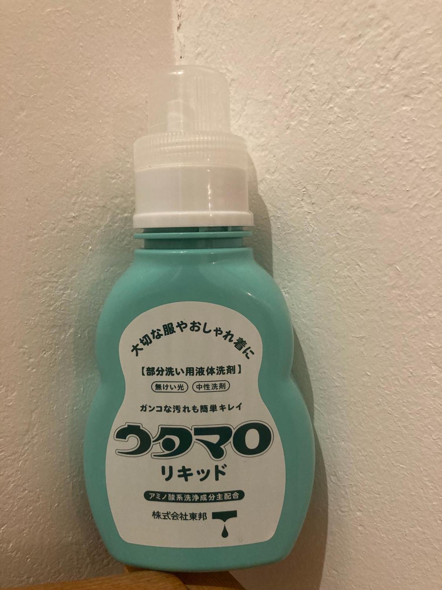 木と漆喰のモダンな部屋 Apartment *