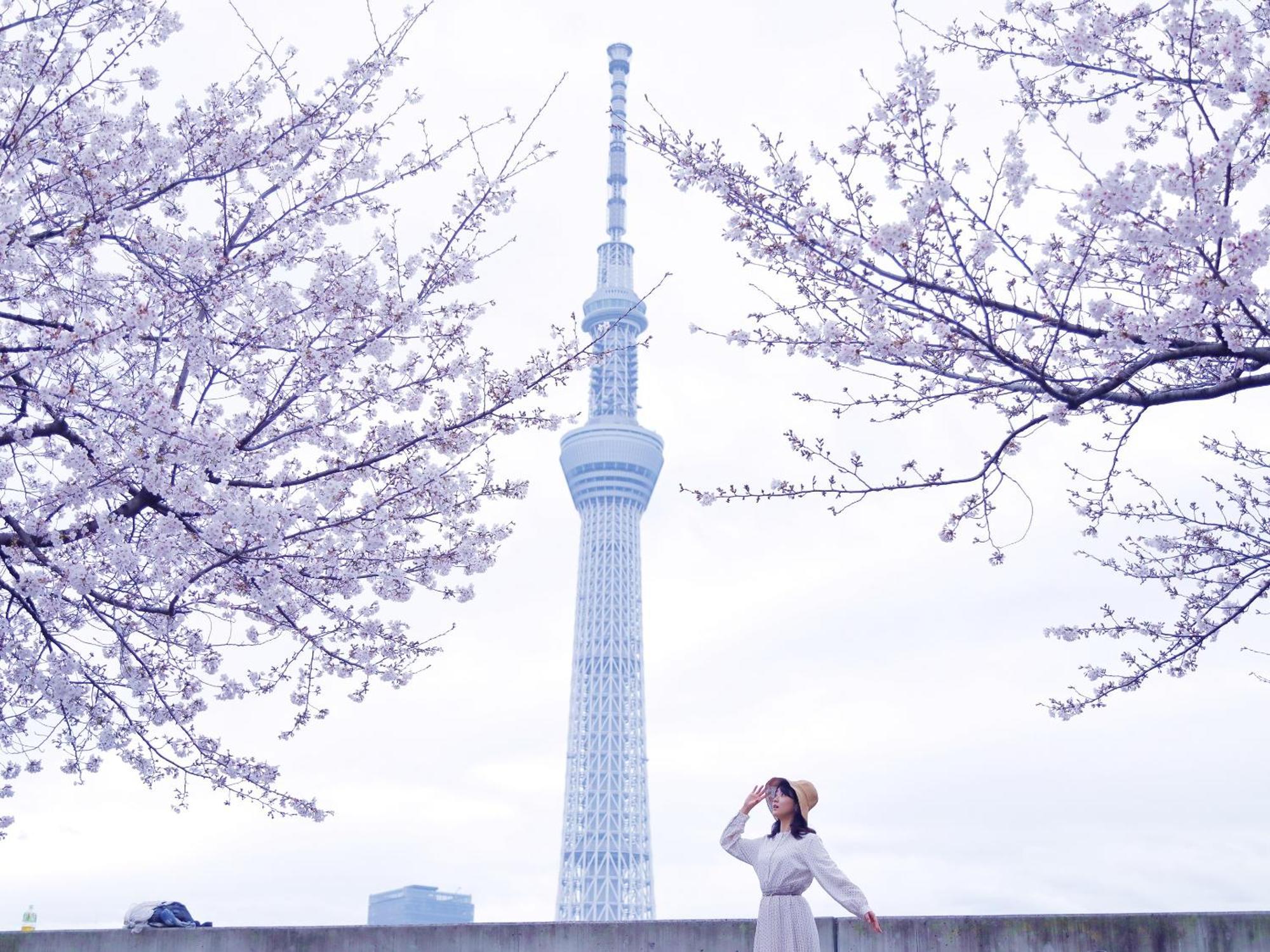 &here Ueno Hotel