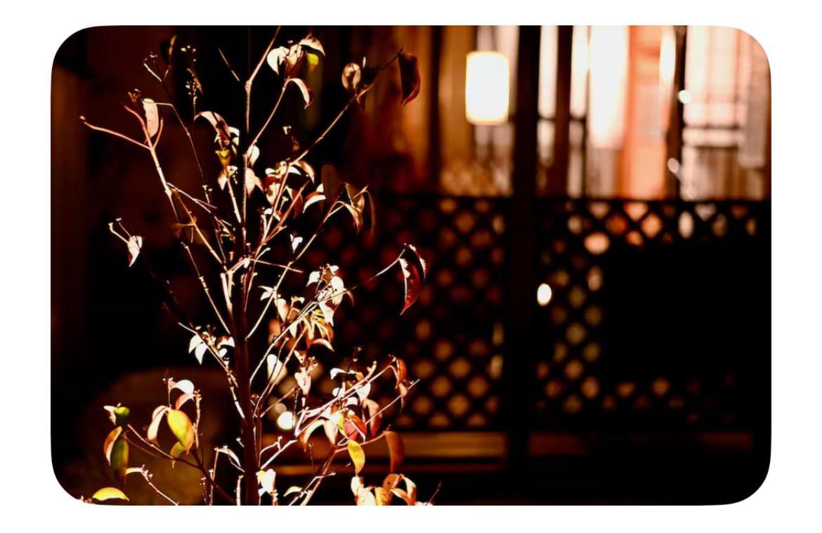 Ichinagi Private Family Villa Near Nippori With Easy Access To Narita And Asakusa * Tokyo