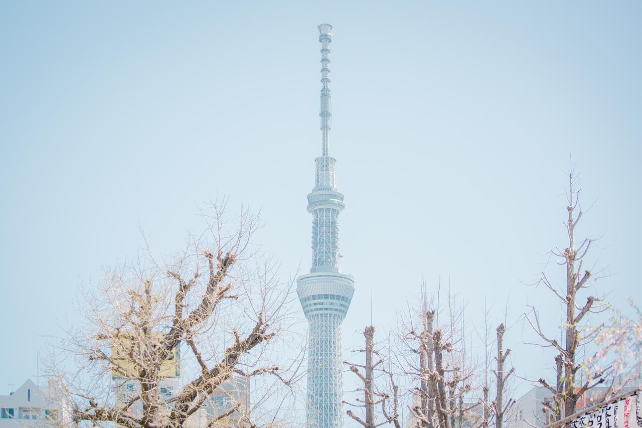 Nippori Hotel Apartment *