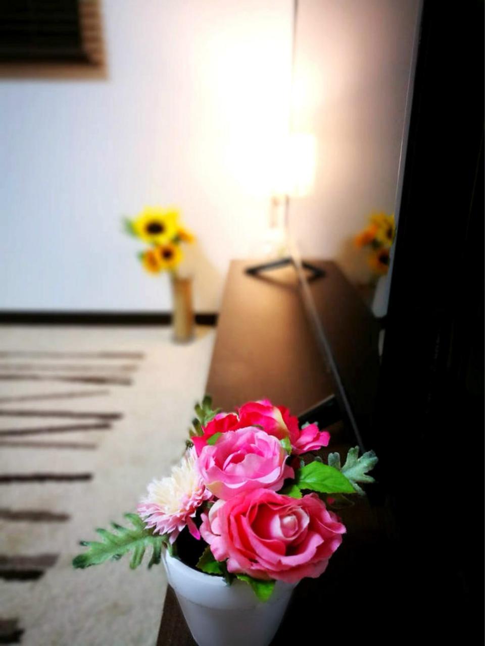 Shinjuku Luxury Three Floor House * Tokyo