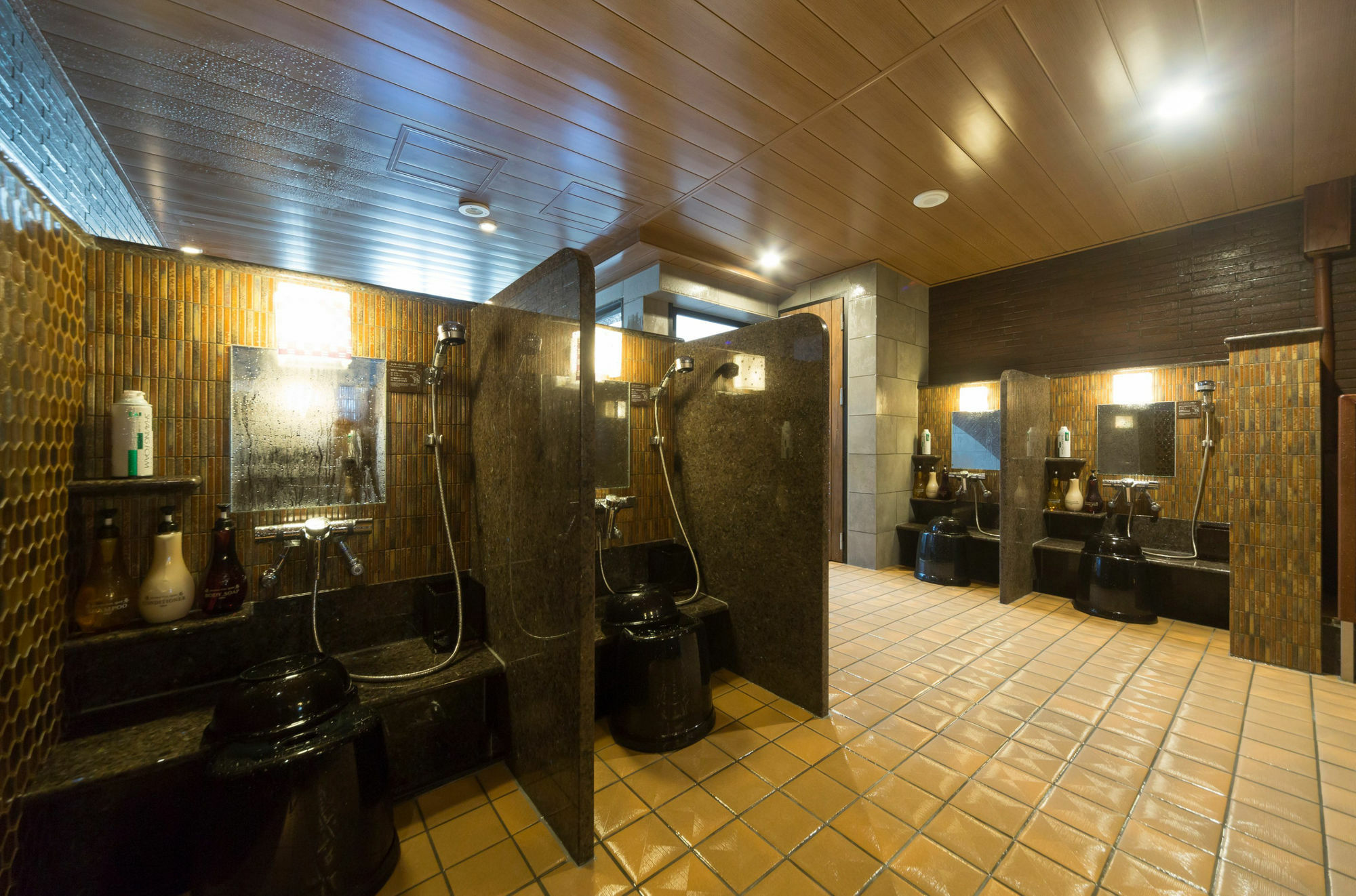 Myoujin-no-yu Dormy Premium Kanda 3*