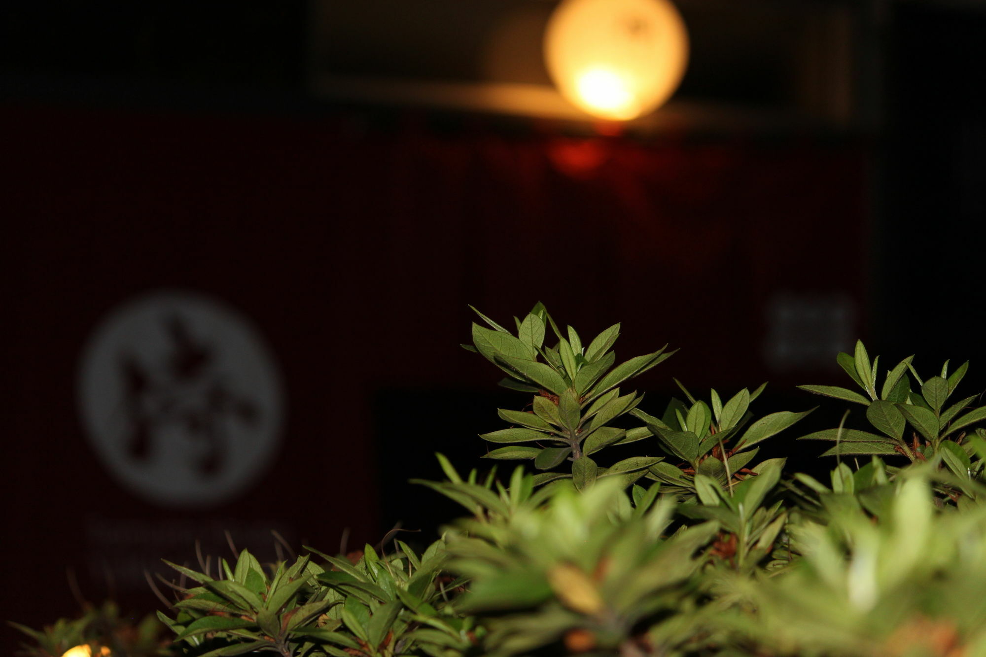 Samurai House Yukimura Holiday home *