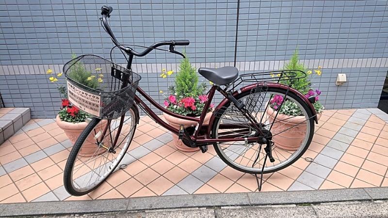 Asakusa Hotel 3*