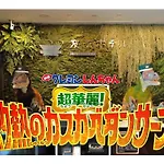 Henn Na Hotel Tokyo Hamamatsucho