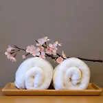 Cherry Blooming Tokyo- All Suite Boutique Hotel 东京伊樱里-中央区全套房艺术酒店