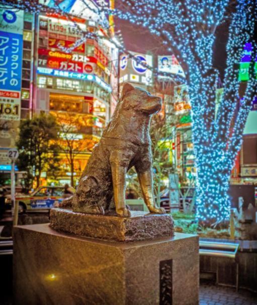 Studio Vacation Apartment, 5 Mins To Shibuya Crossing-hachiko! Cs1 008 Apartment Tokyo