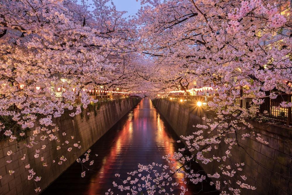 Mystays Gotanda Station 3* Tokyo