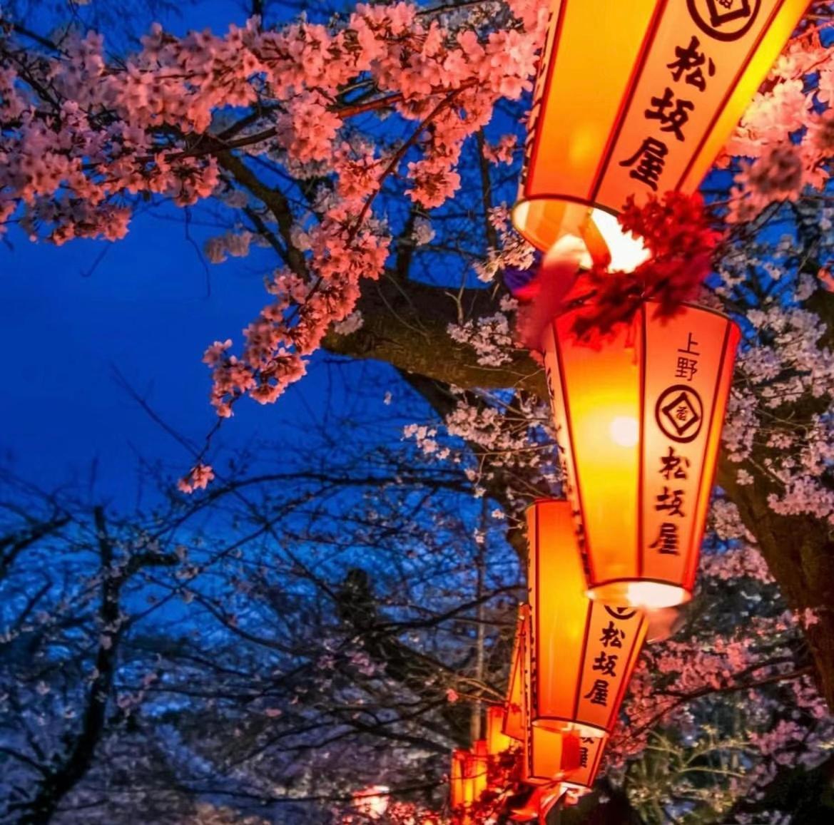 Ueno Iriya *