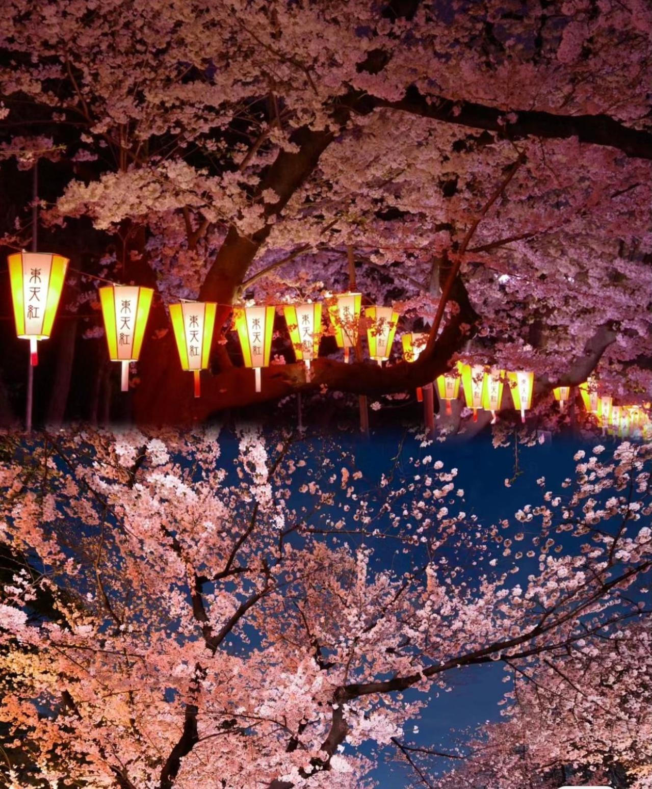 Ueno Iriya Aparthotel Tokyo