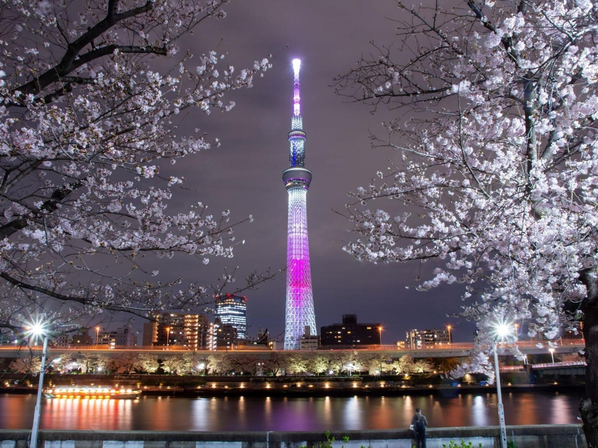 Guest house Rakuten Asakusa Twin 2*