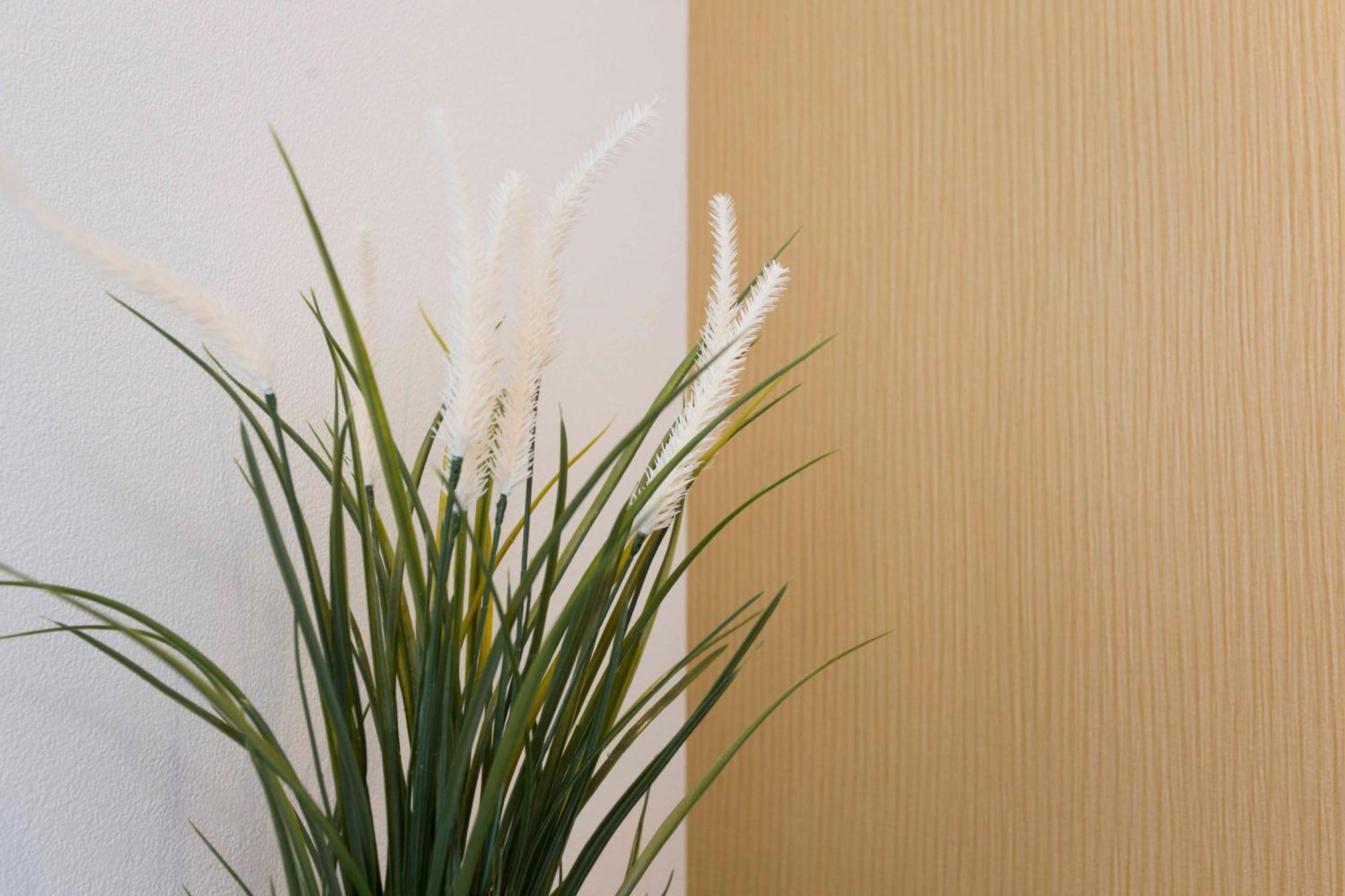 Pal-terrace Fujimi Apartment
