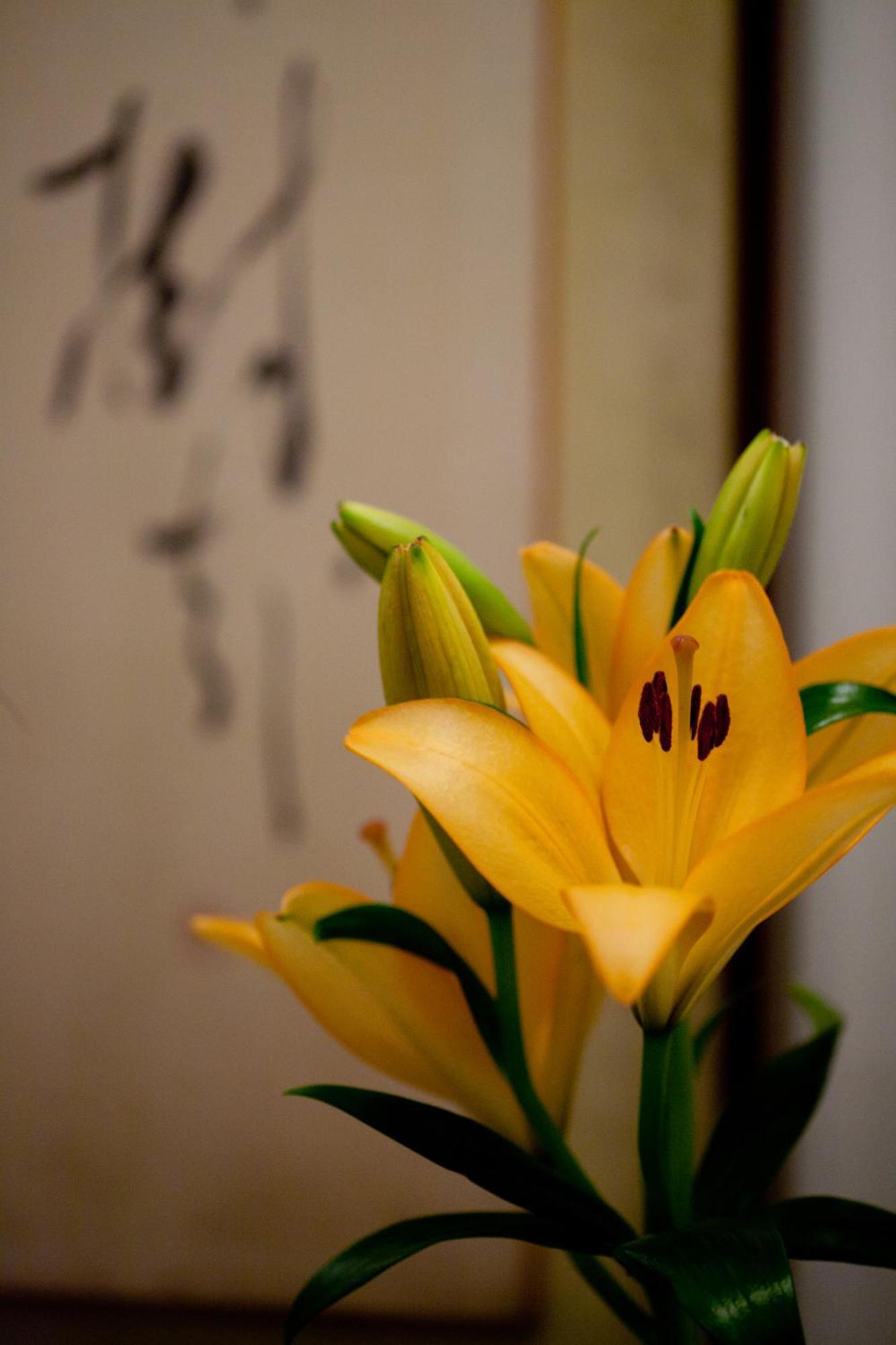 Ryokan Kimi Tokyo