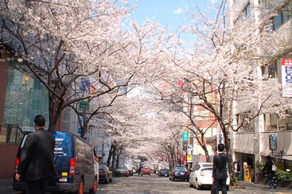 Romantic Flat In The Heart Of Shibuya / 7min Walk Tokyo