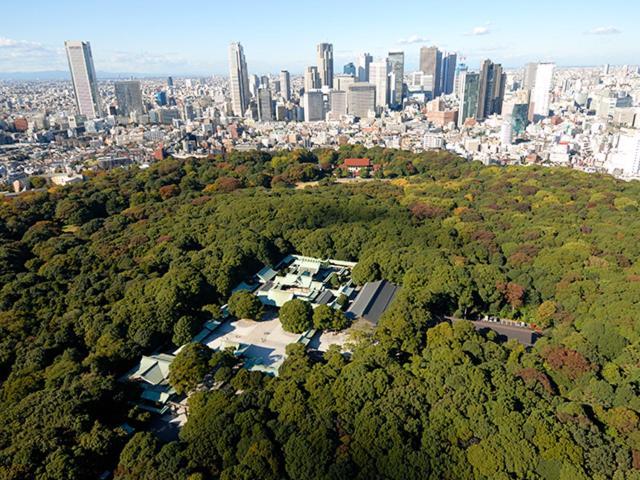 Romantic Flat In The Heart Of Shibuya / 7min Walk Apartment Tokyo