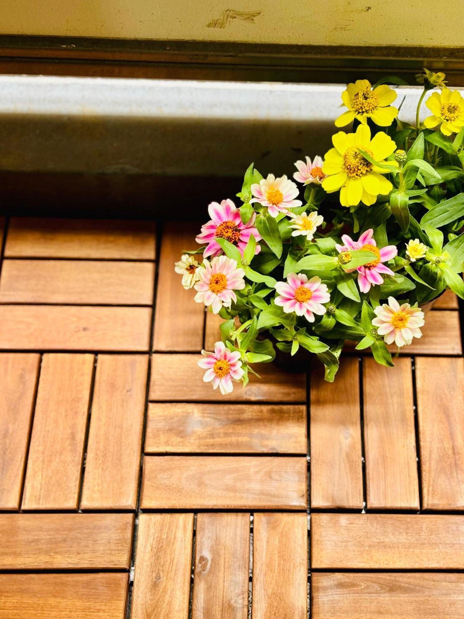 Glou Shinjuku Family Apartment *