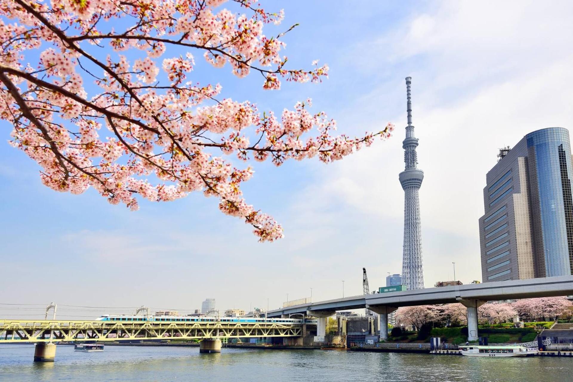 Honeys * Tokyo