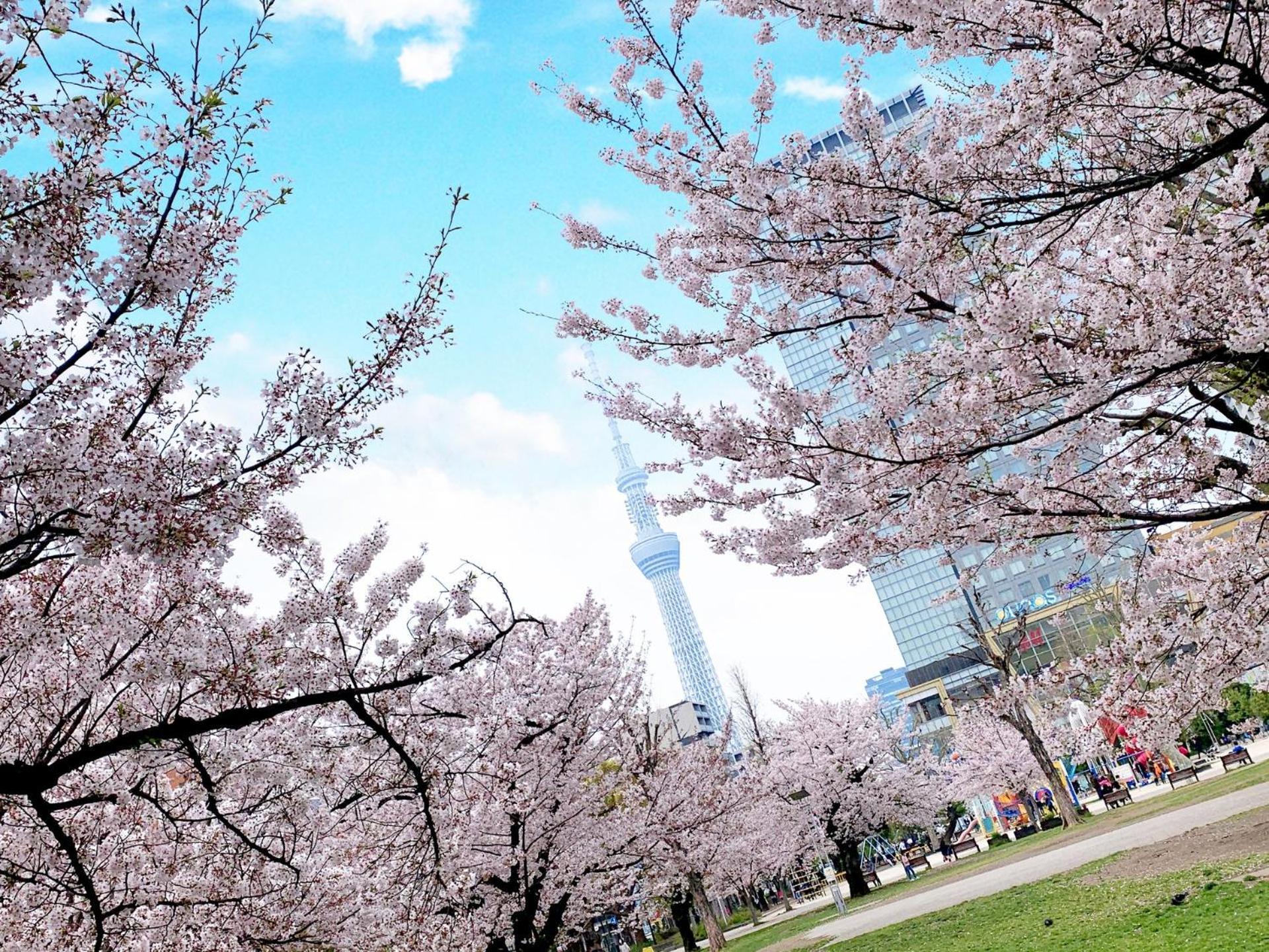 The Bonds Tokyo