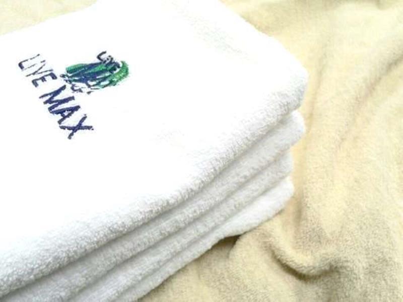Livemax Higashi Ginza Hotel 3*