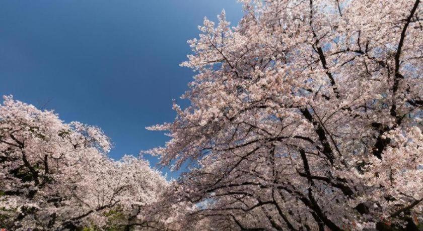 Hotel Bougainvillea Minowa