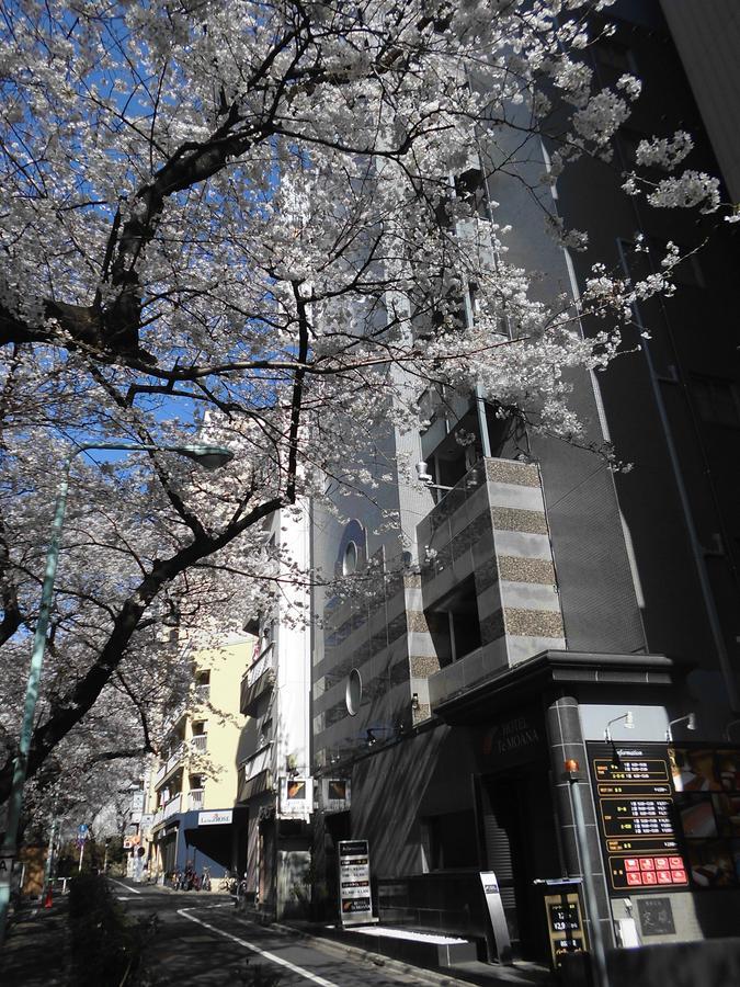 Moana Otsuka Tokyo