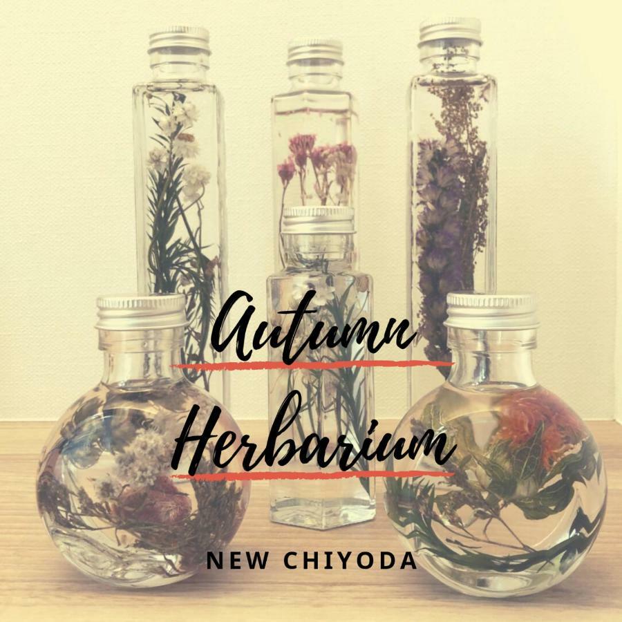 New Chiyoda Guest house 2*