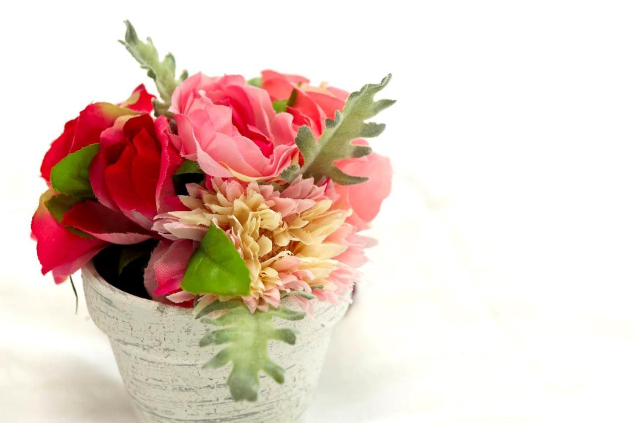 Cherry Blooming Tokyo- All Boutique 东京伊樱里-中央区全套房艺术酒店 Hotel